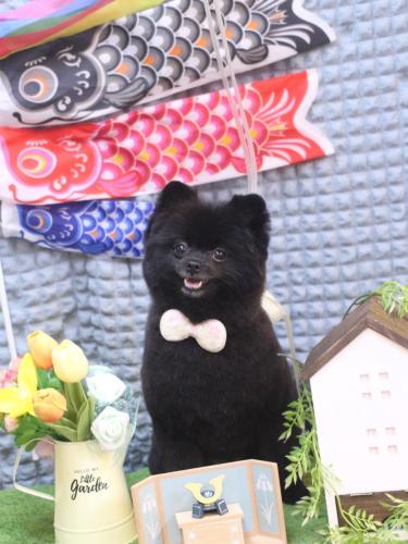 20230514ありすちゃん